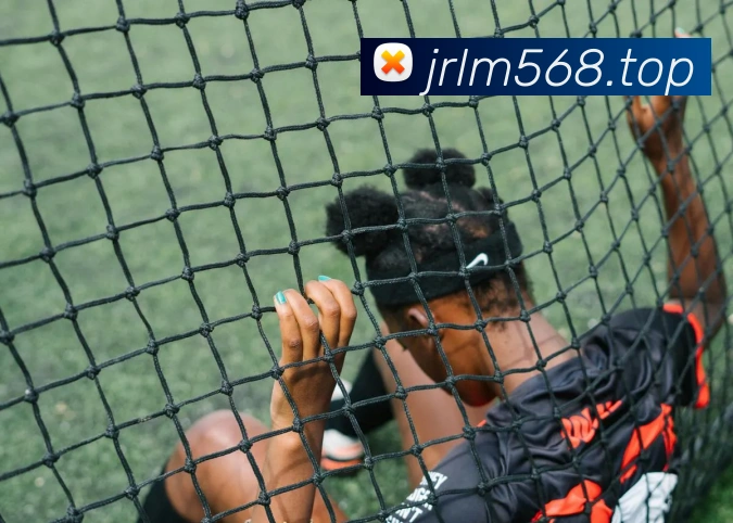 j9官网登录入口俱乐部平台生态图